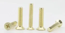 Golden Flat Head Screws M3*3