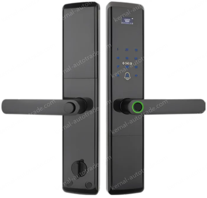 Smart door lock A81