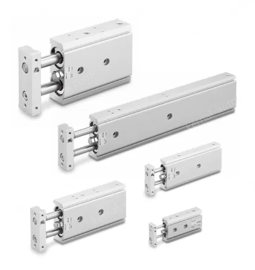 Dual Rod Cylinder Basic Type CXS2 Series &oslash;6, &oslash;10, &oslash;16, &oslash;20, &oslash;25, &oslash;32