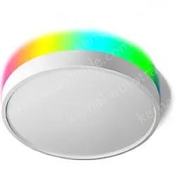 Smart lamps ZJ-BWBL-RGBWW-24W