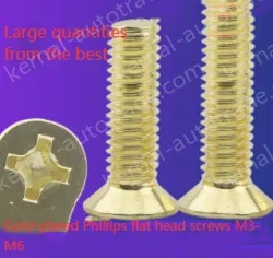 Golden Flat Head Screws M6*115