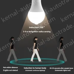LED human body sensor light bulb-12W
